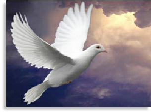 Dove image
